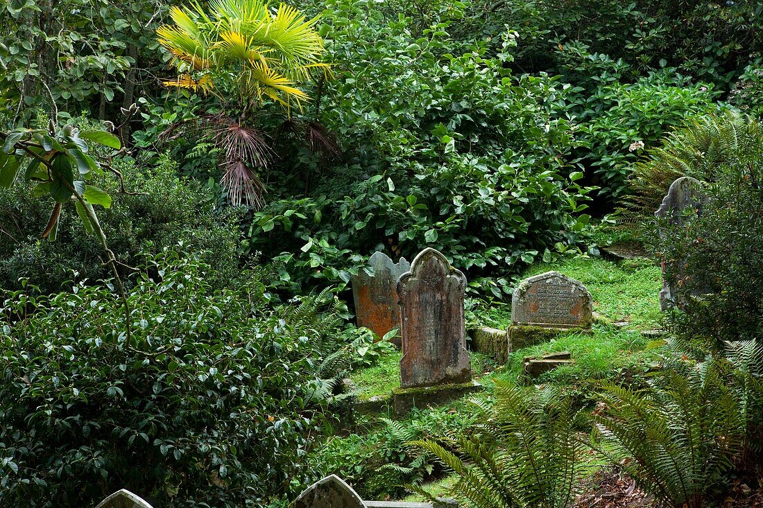 U.K, Cornwall, Garden and celtic cemetery of St Just in Roseland