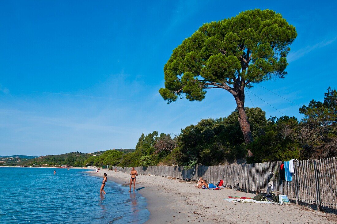 France, Corsica, South Corsica (2A), the Palombaggia beach