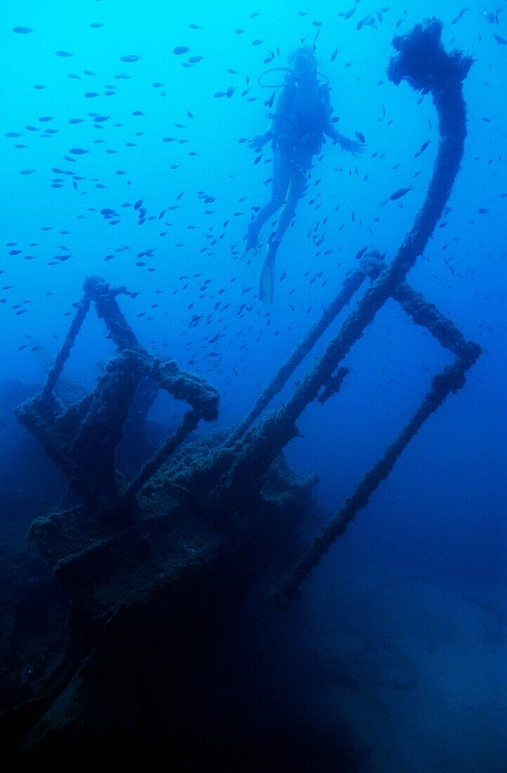 Diver exploring the Dalton Shipwreck with a school of fish swimming in the background, Marseille, France