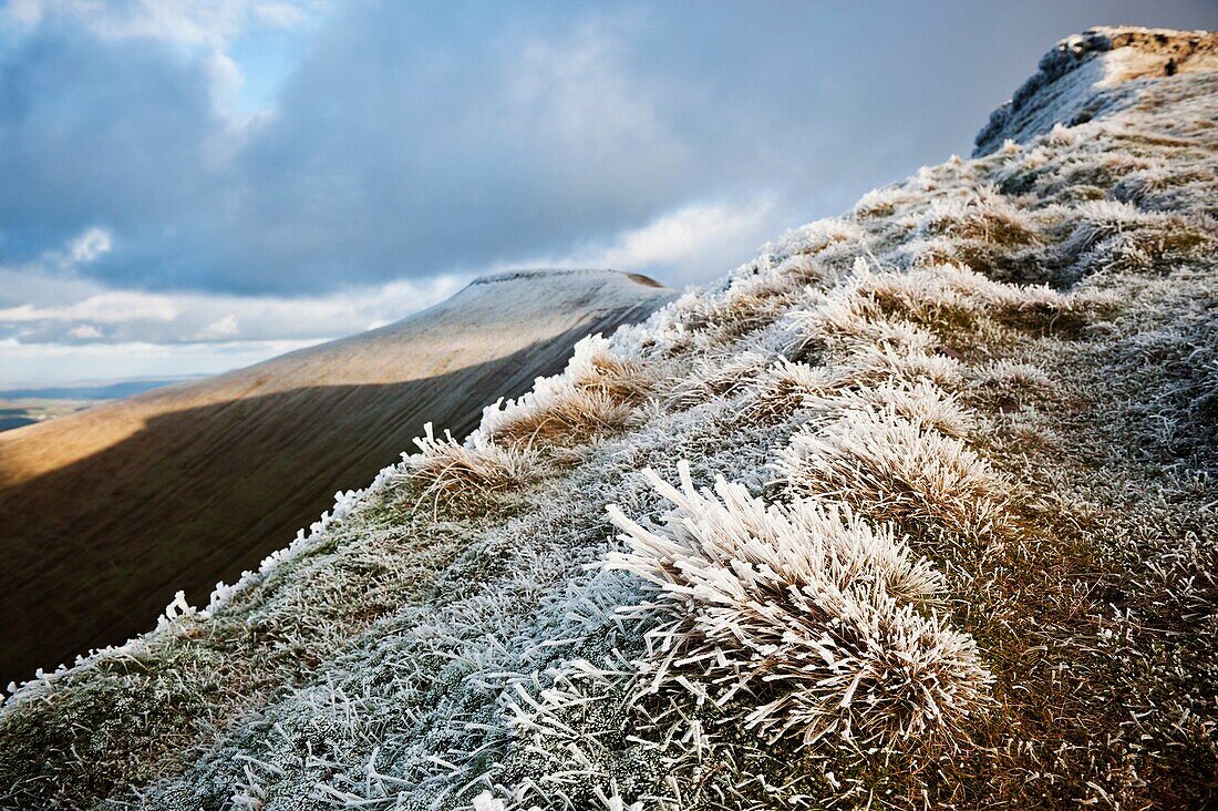 Frost covered grass near Corn Du, Brecon Beacons national park, Wales
