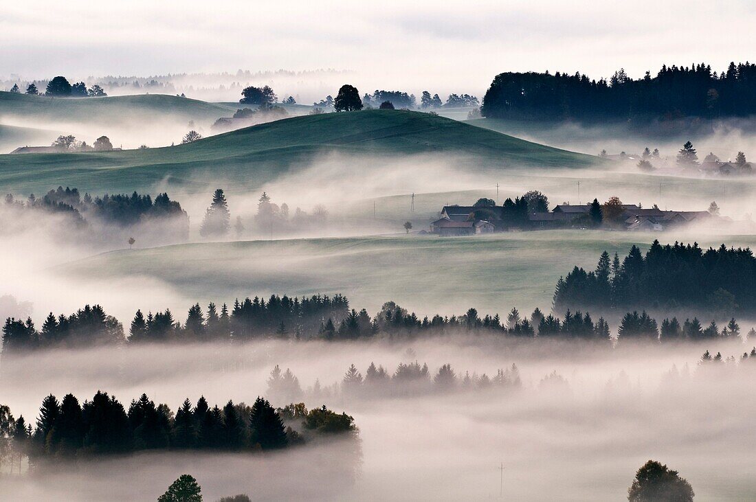 Autumn mist clears from rolling hills of Allgaeu region as near village of Eisenberg, Bavaria, Germany