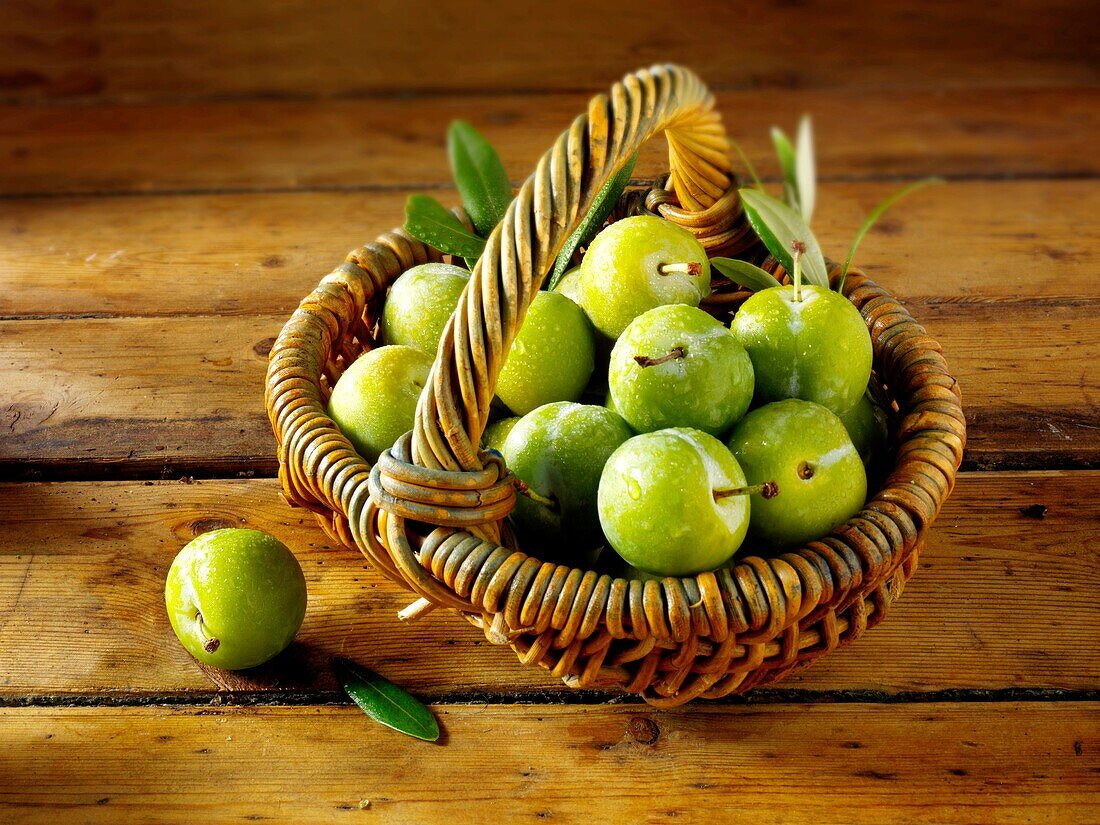 Fresh Greengage plums