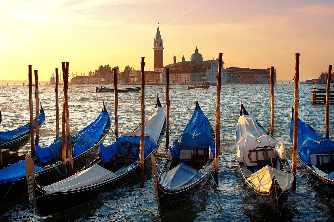 Gondolas in the early morning sun - Vnice Italy