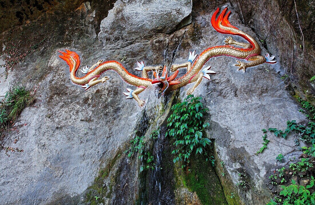 Dragon headed sculture in the rocks, Sikkim, India