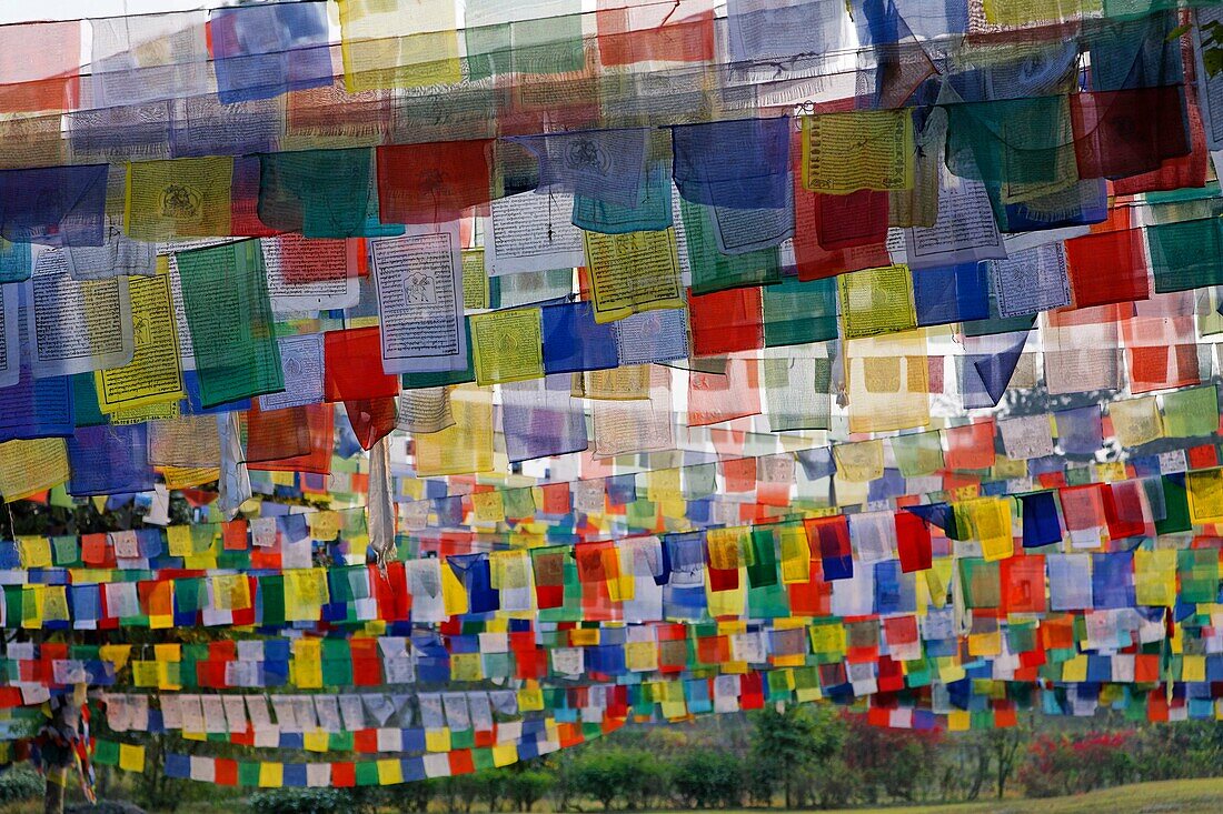 Prayer flags, Lumbini, Nepal