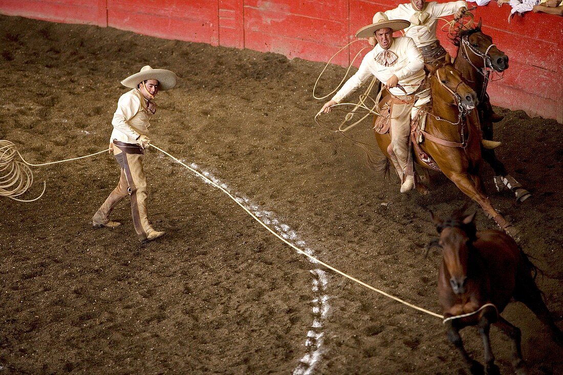 Mexican Charros lasso a horse at a charreria competition in Mexico City. Male rodeo competitors are ´Charros, ´ from which comes the word ´Charreria ´ Charreria is Mexico´s national sport