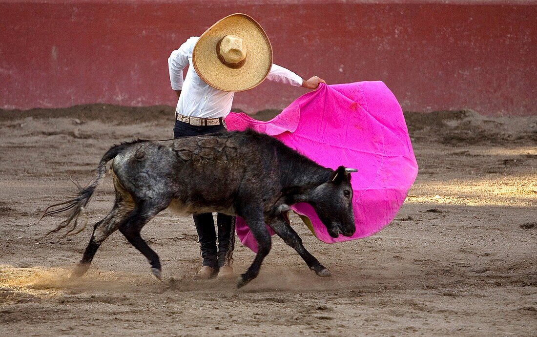 A bullfighter, wearing a Mexican sombrero, bullfighs in in Tlaxcala, Mexico, November 13, 2008