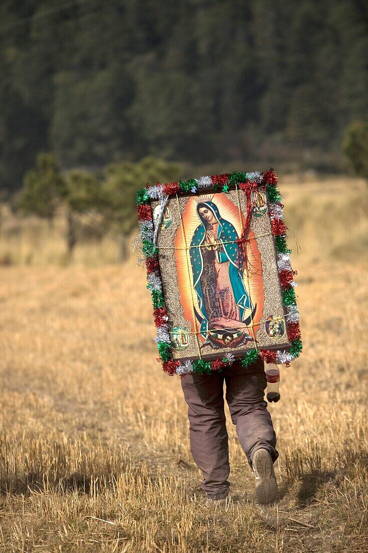 A pilgrim carrying an image of the Virgin of Guadalupe walks through a field as he travels to reach the Basilica of Guadalupe in Mexico City, December 7, 2008  Hundreds of thousands of Mexican pilgrims converged on the Basilica, bringing images to be bles