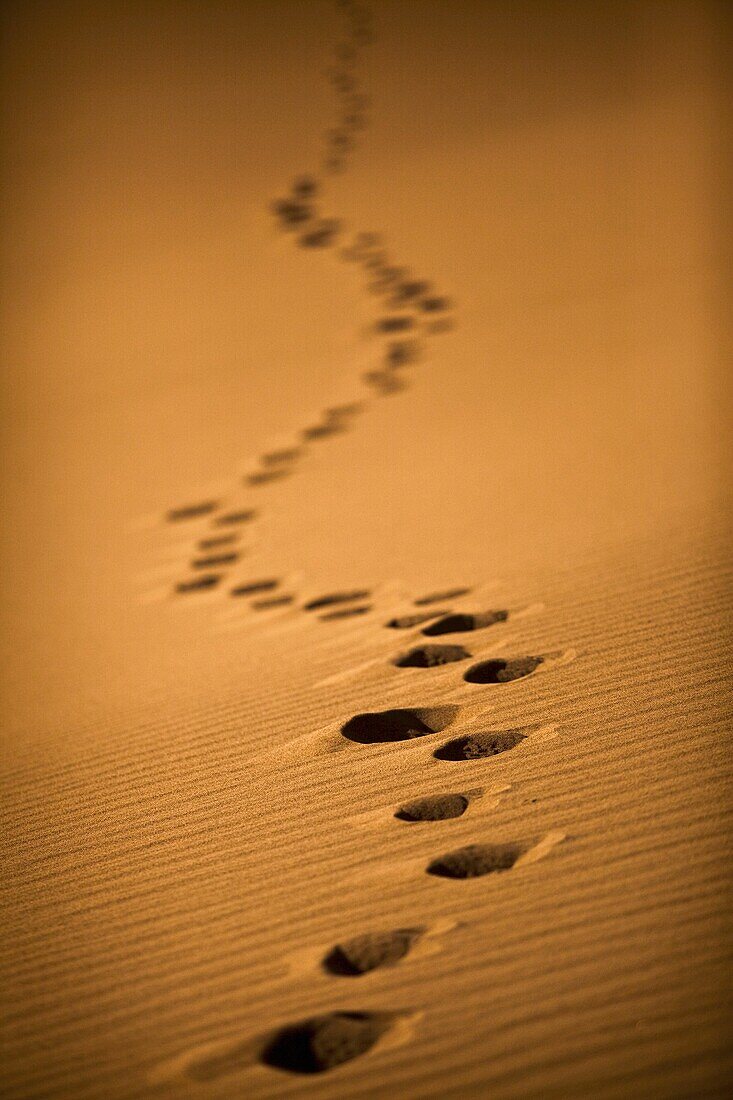 Footsteps in Sand dunes at Stovepipe Wells in Death Valley National Park, California, USA
