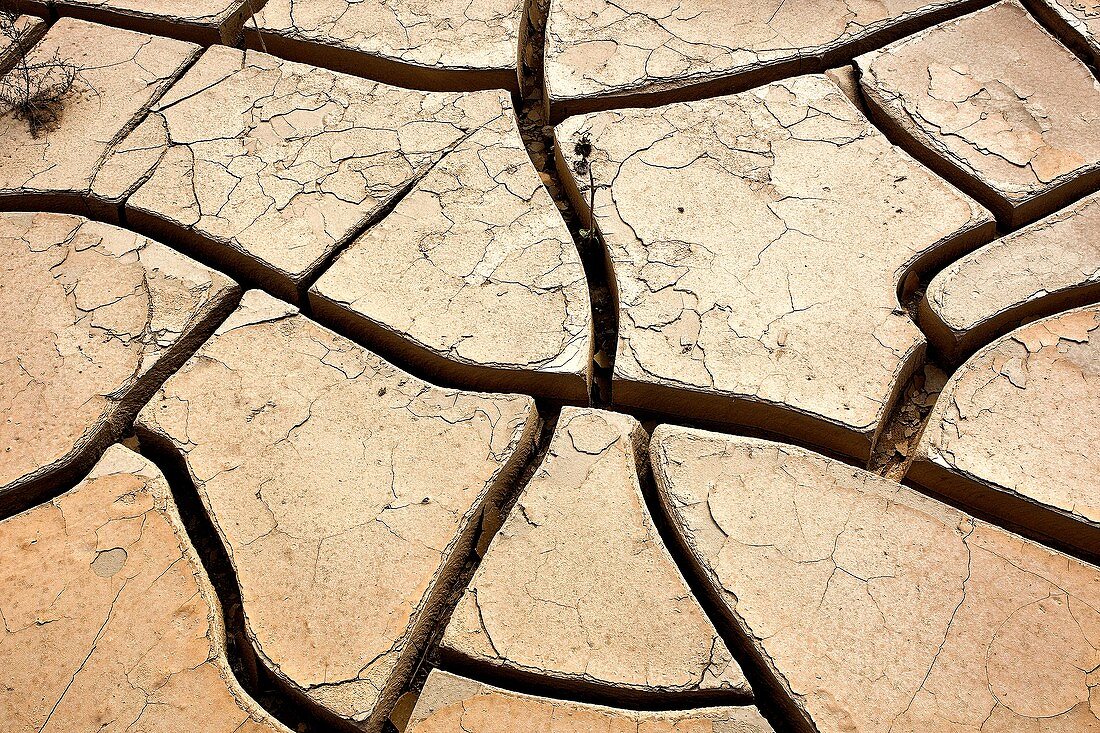DROUGHT IN DESERT, NEAR WALVIS BAY IN NAMIBIA