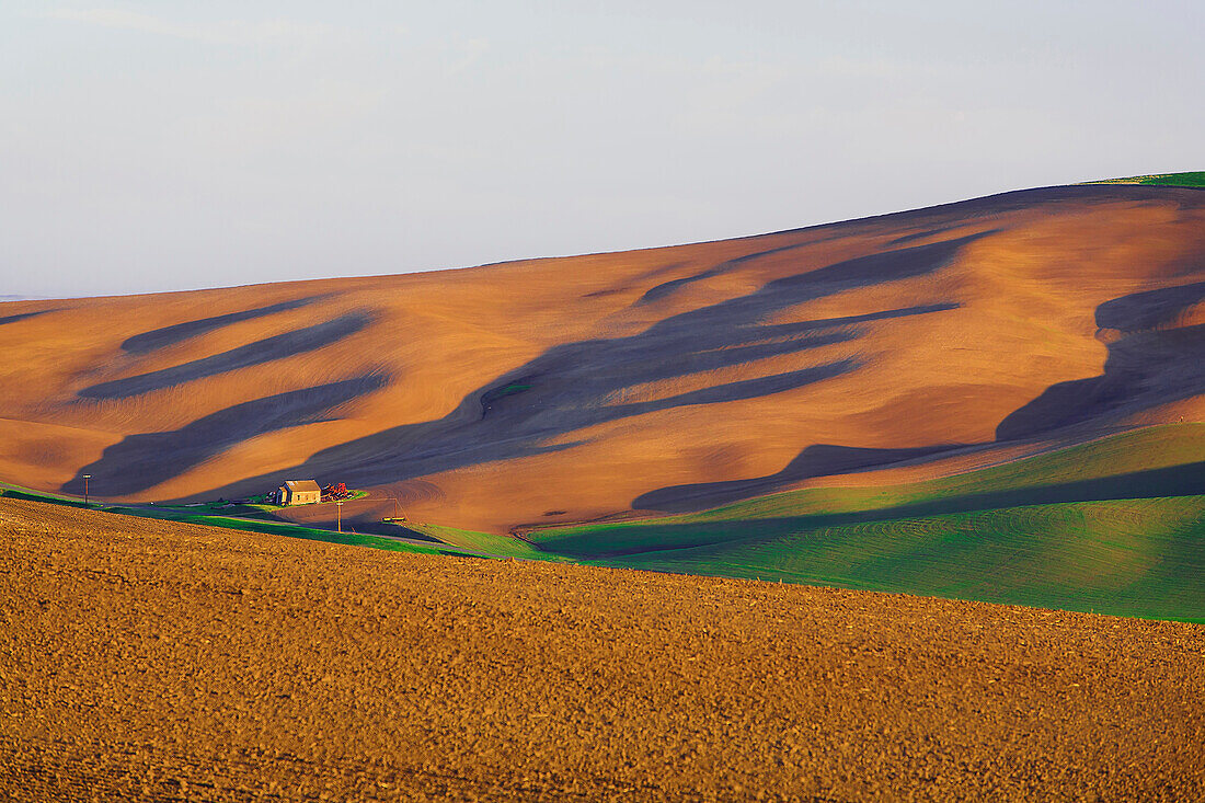 Sunrise landscape in the Palouse Hills, Washington, known as the heart of wheat farming in the United States is also famous for its rolling scenery.  This landscape is at the base of Kamiak Butte, a Whitman County Park offering camping, picnicking, hiking