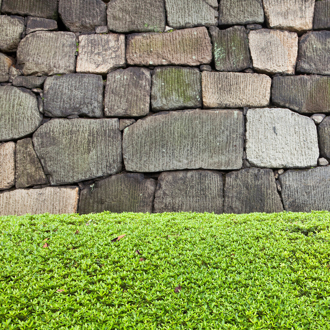 Stone wall and hedge, Imperial Palace, Tokyo, Japan, Stone Wall and Hedge, Tokyo, Japan