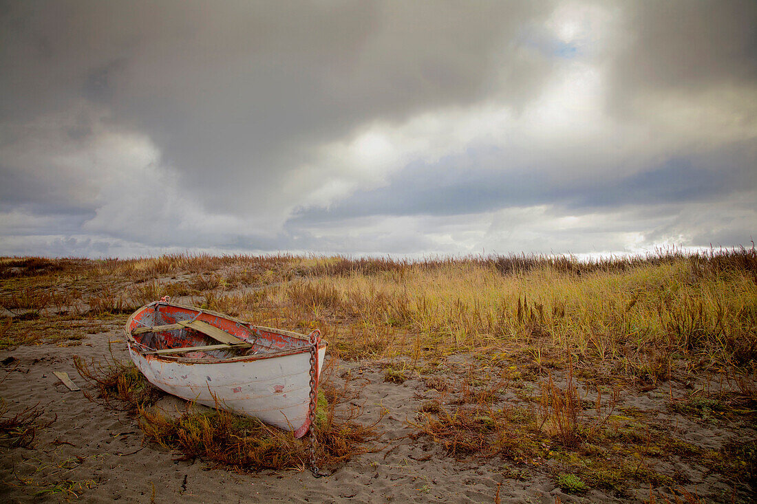 An old abandoned boat by the shore near Port Townsend. Beach. Dunes, Storm clouds in the sky. Puget Sound coastline., Port Townsend, Washington