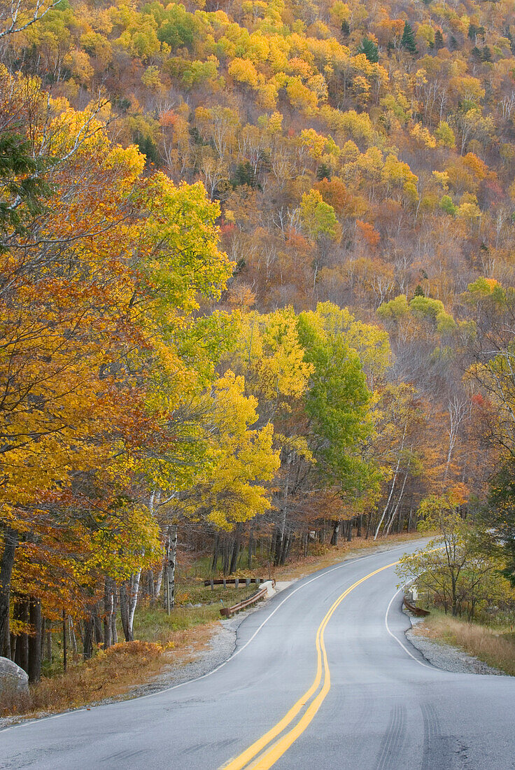 A country tarmac road in autumn. Trees with autumn fall foliage in Grafton Notch State Park. New England., Grafton Notch State Park, Maine, USA.