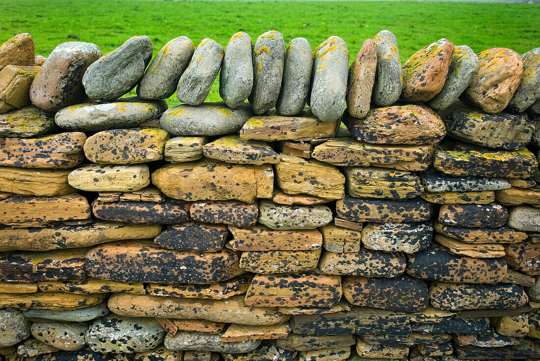 A close up of a traditional construction, a dry stone wall, with stones built up without mortar. Top stones places vertically., Detail of stone wall on Mainland Orkney Islands Scotland