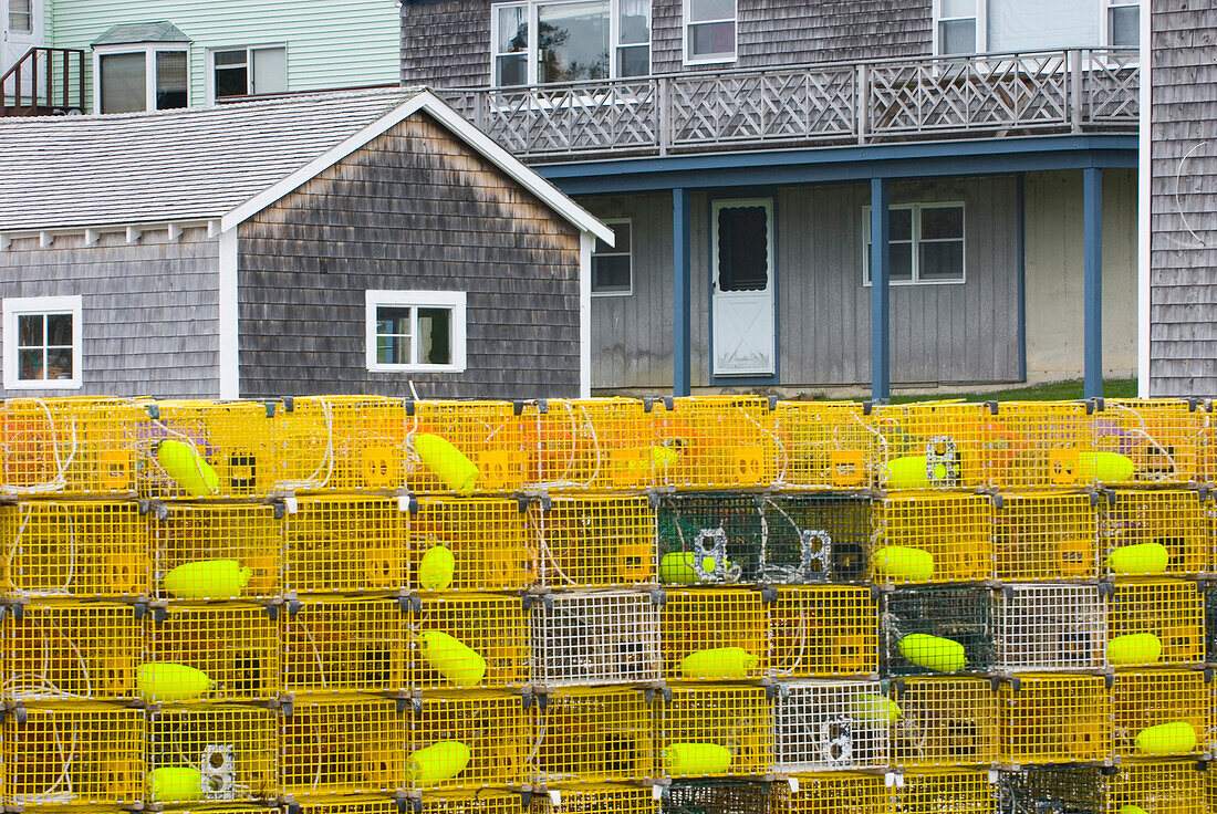 Yellow lobster buoys and lobster crates or pots, traps piled up on the dock in the harbour.  Bristol fishing port. New England., Bristol Maine, USA