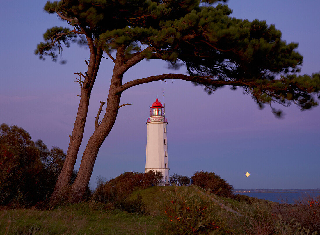Leuchtturm mit Mond auf dem Dornbusch am Abend, Insel Hiddensee, Nationalpark Vorpommersche Boddenlandschaft, Ostsee, Mecklenburg Vorpommern, Deutschland, Europa