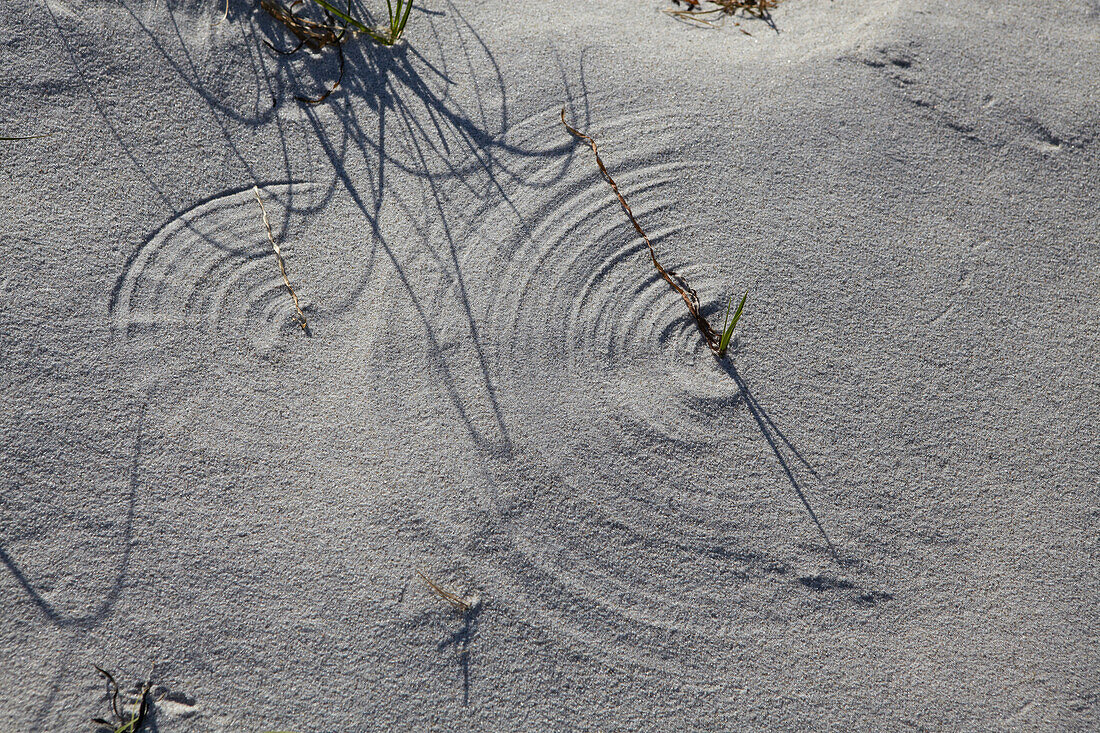 Structures in the sand of the dunes, Hiddensee Island, Western Pomerania Lagoon Area National Park, Mecklenburg Western Pomerania, Germany, Europe