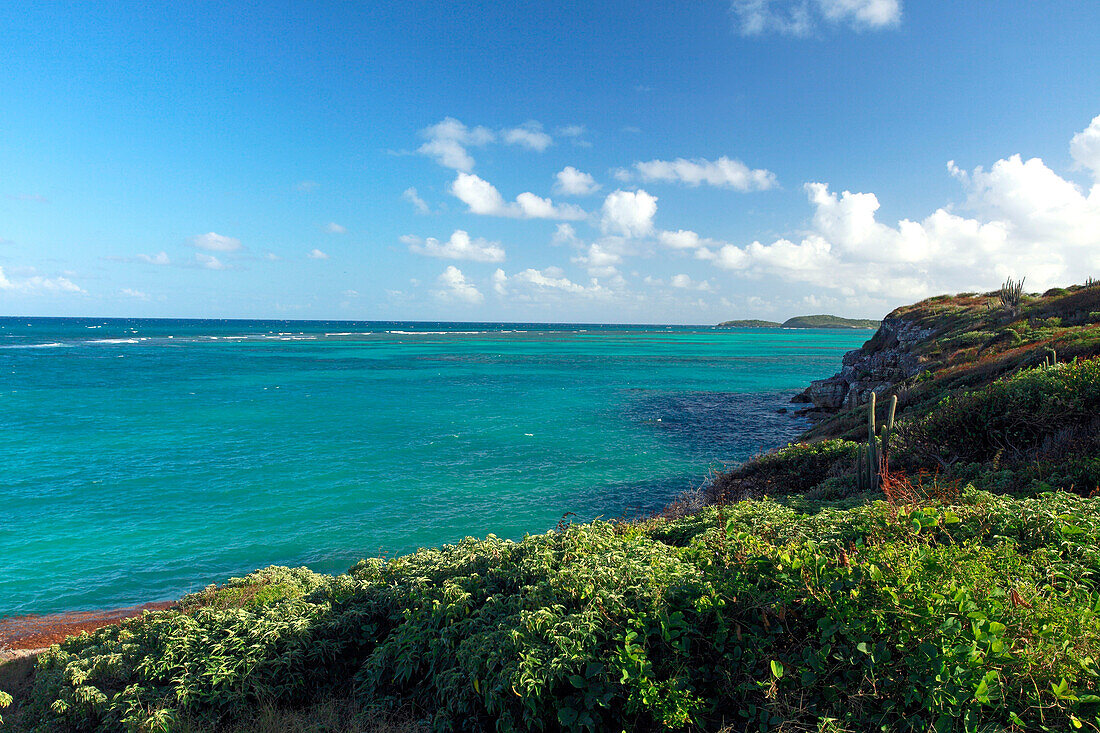 View of Atlantic Coast, Antigua, West Indies, Caribbean, Central America, America