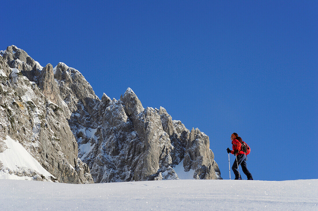 Frau auf Skitour steigt auf Felswände zu, Skitour Kaiserexpress, Ellmauer Halt, Wilder Kaiser, Kaisergebirge, Tirol, Österreich