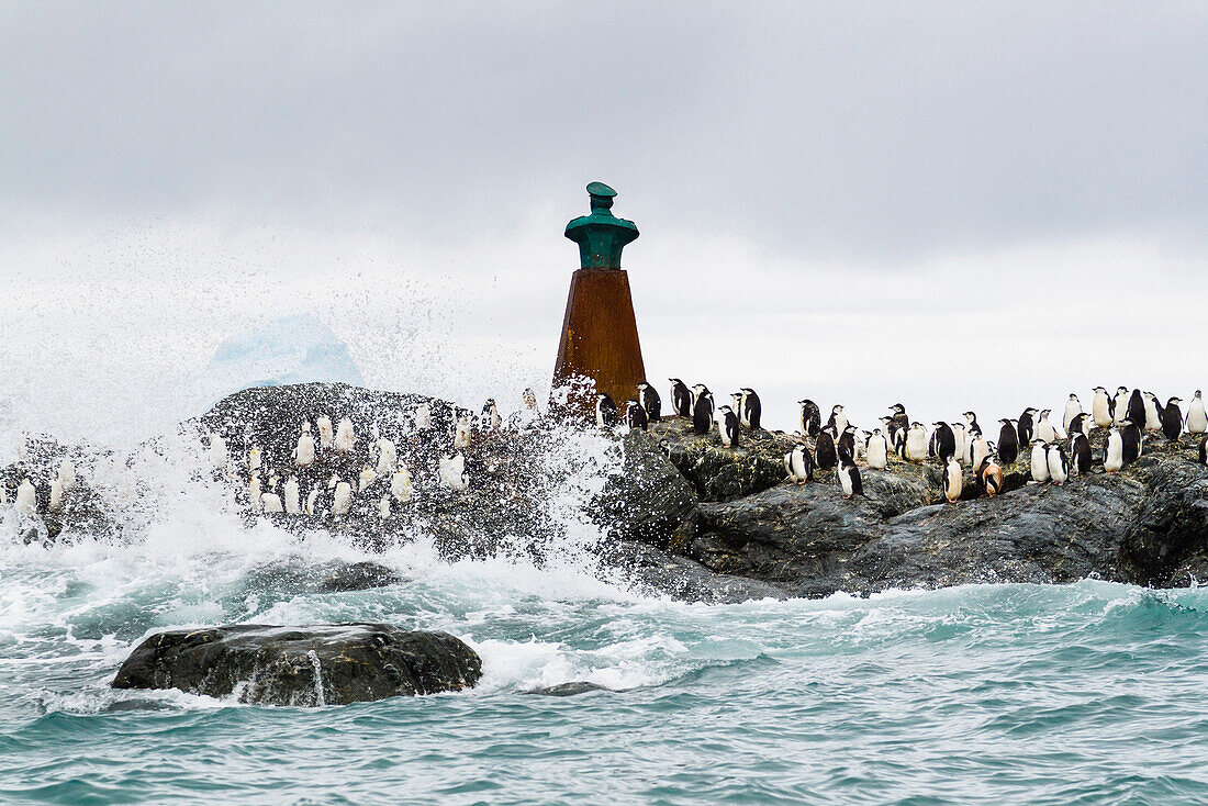 Point Wild mit Denkmal zu Ehren des chilenischen Leutnants Luis Pardo, Shackleton Expedition, Elefanteninsel, Elephant Island, Südliche Shetlandinseln, Antarktische Halbinsel,  Südpolarmeer, Antarktis