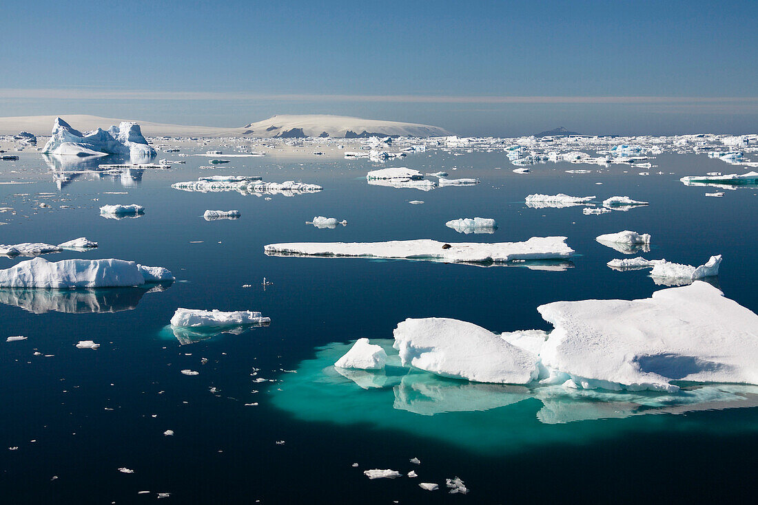 Icebergs, Antarctic Sound, Weddell Sea, Antarctica