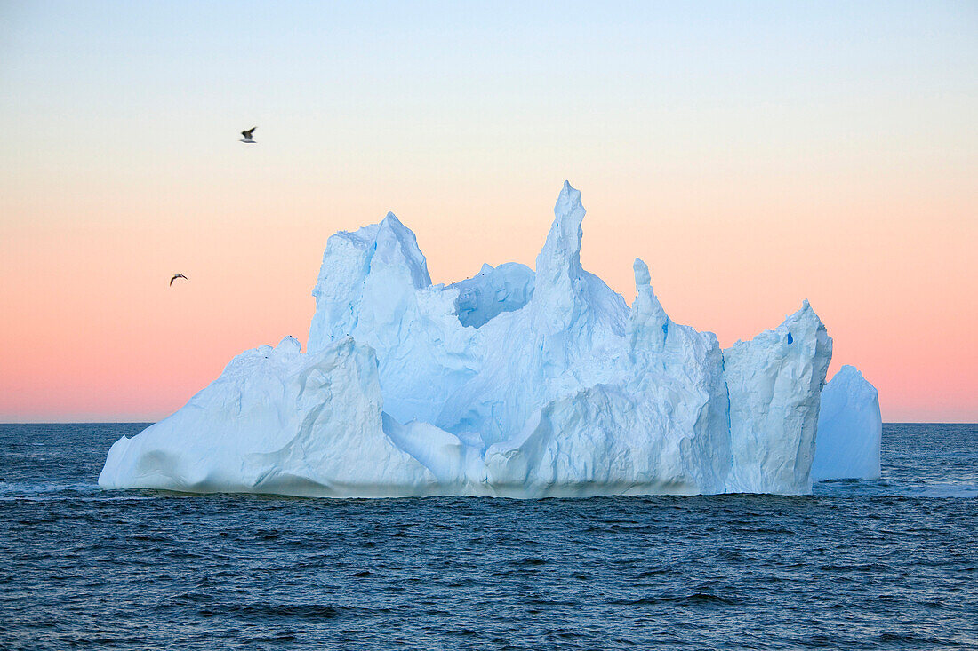 iceberg, Antarctic Peninsula, Antarctica
