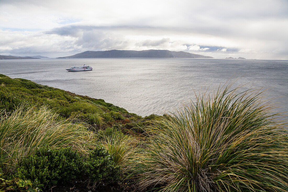 Kreuzfahrtschiff vor Kap Hoorn, Patagonien, Chile, Südamerika
