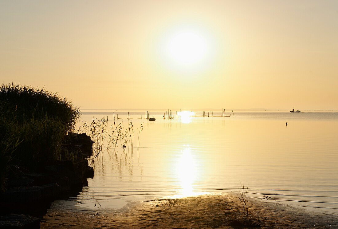 Stettiner Haff, Ostsee, Ueckermünde, Mecklenburg-Vorpommern, Deutschland