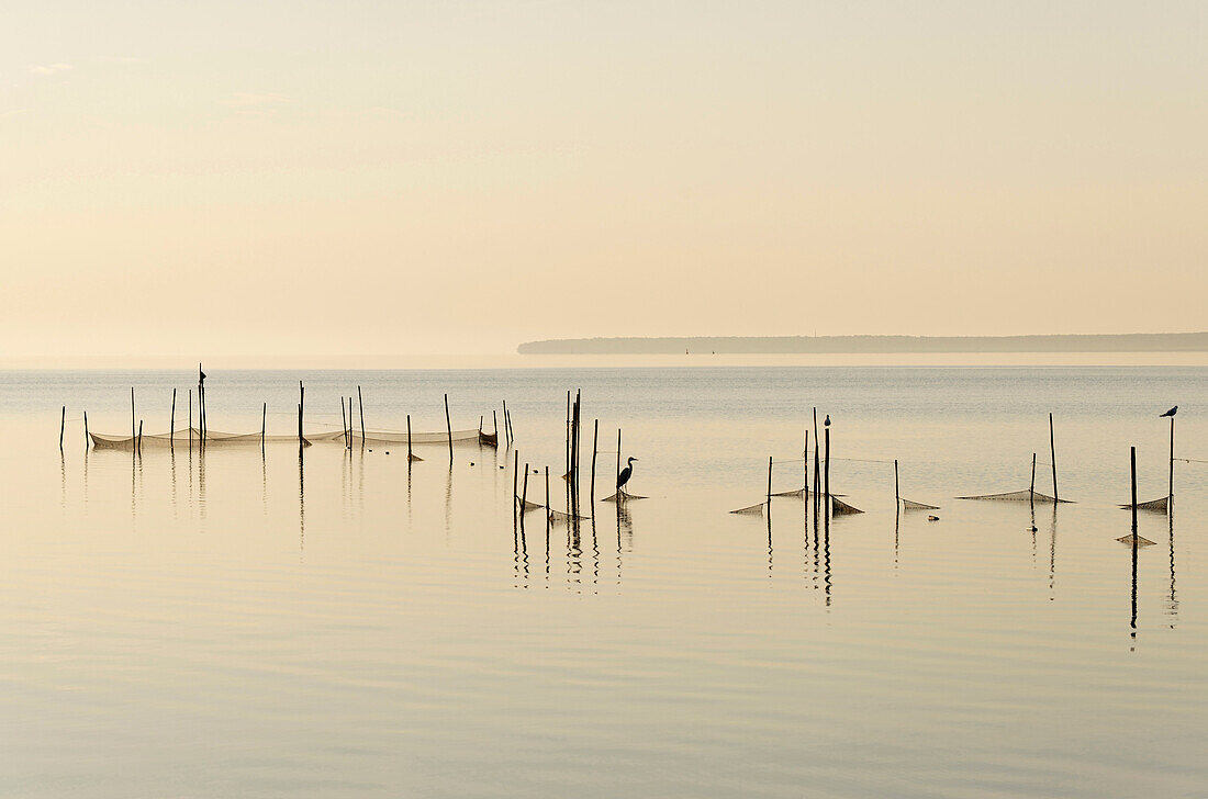 Szczecin Lagoon, Baltic Sea, Ueckermuende, Mecklenburg-Western Pomerania, Germany