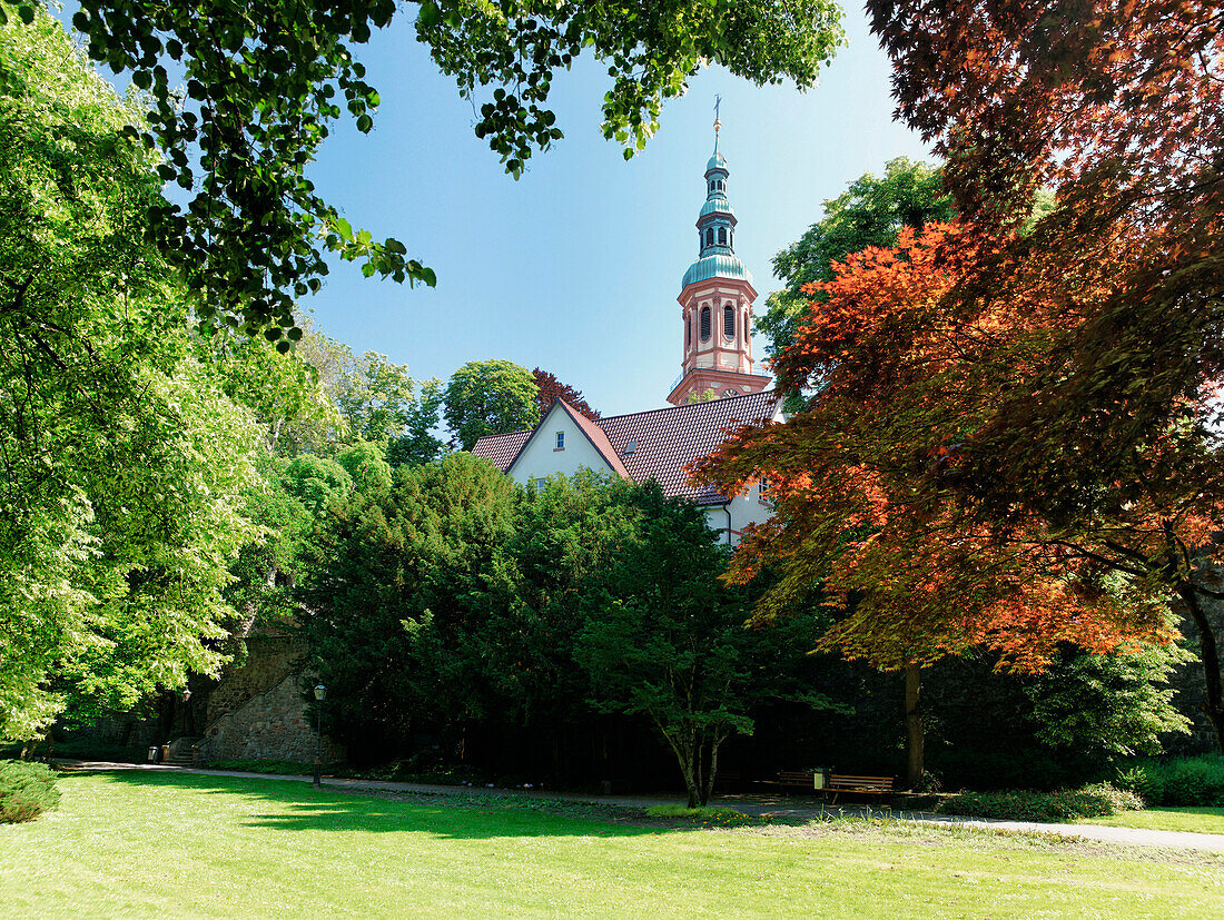 Zwinger park with Sacred Cross Church in the background, Offenburg, Baden-Württemberg, Germany, Europe