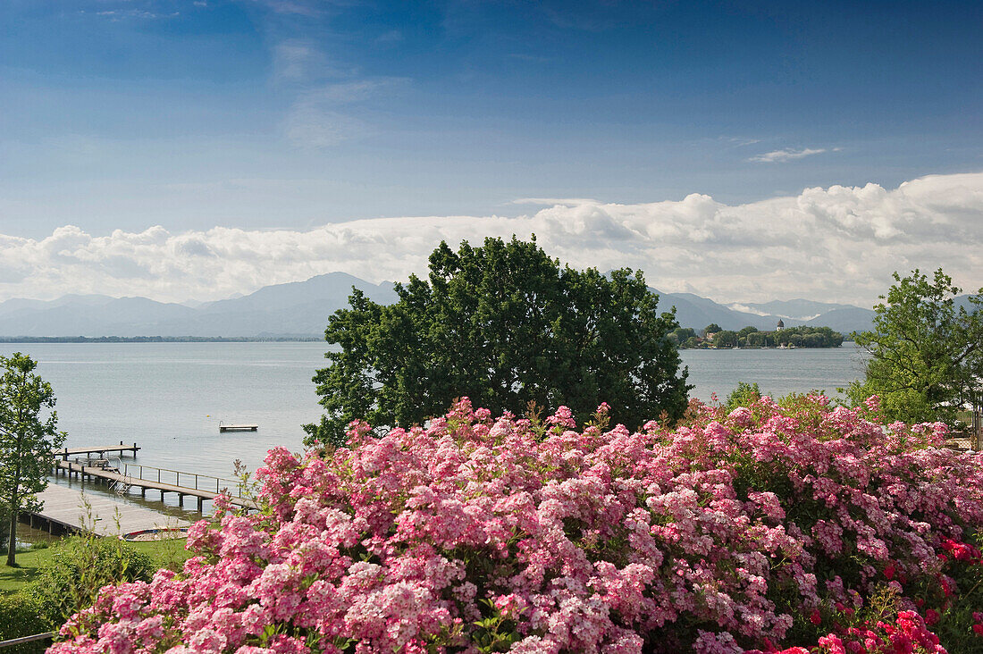 View towards Fraueninsel from Gstadt, Chiemsee, Chiemgau, Bavaria, Germany