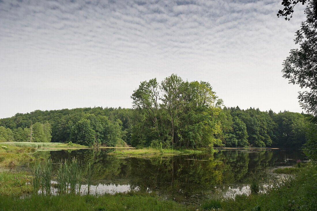 Langburgner See, near Eggstaett, Chiemgau, Bavaria, Germany