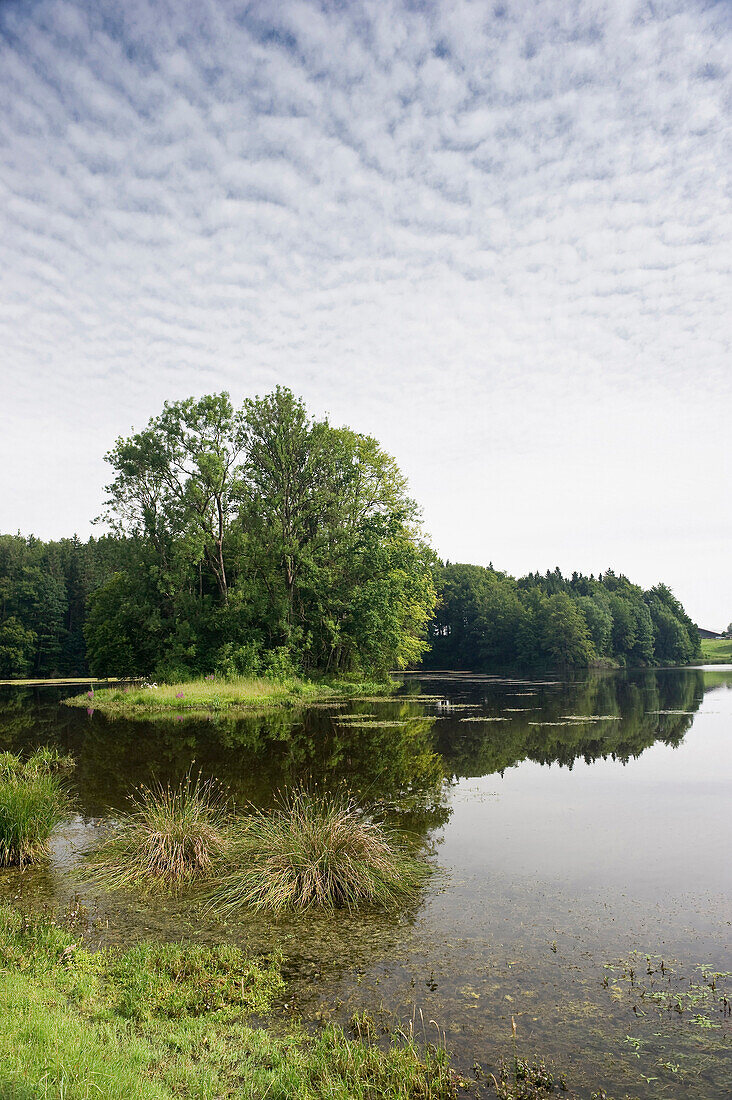 Langbuergner See near Eggstaett, Eggstätt, Bavaria, Germany