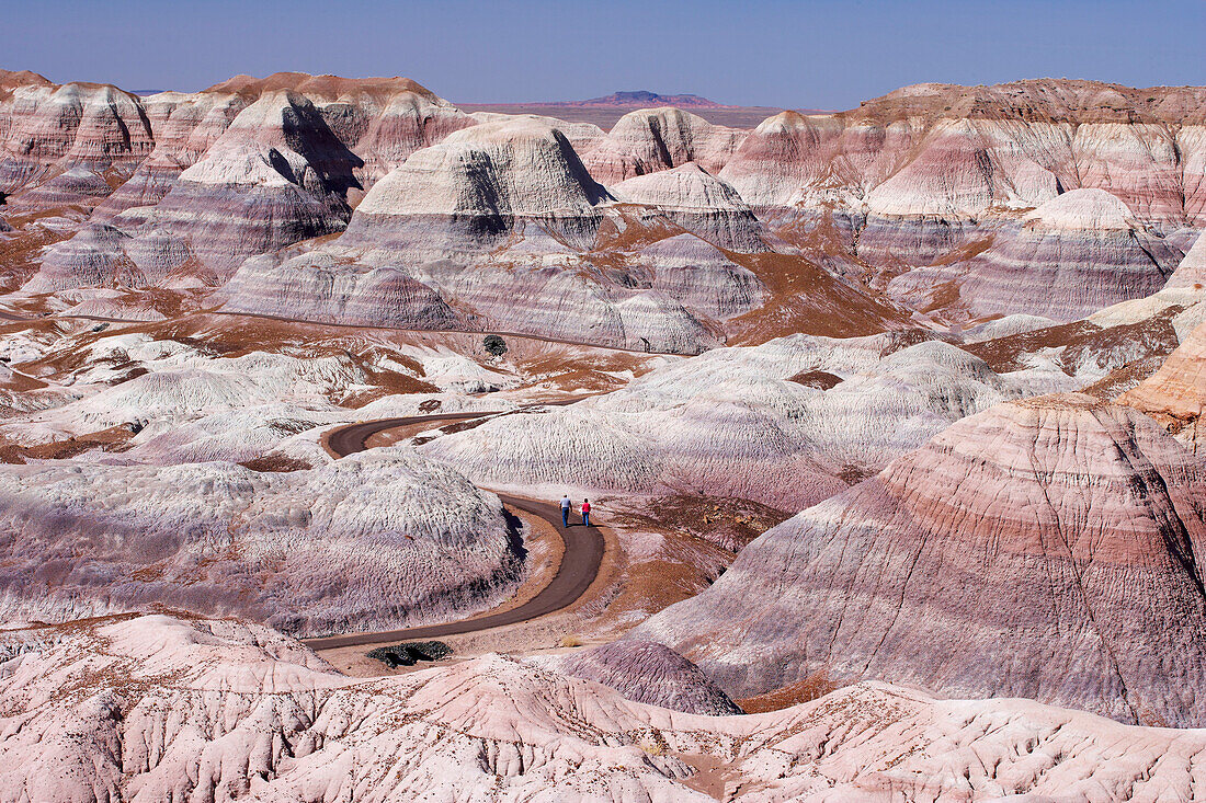 Blue Mesa, Petrified Forest National Park, Arizona, USA, America