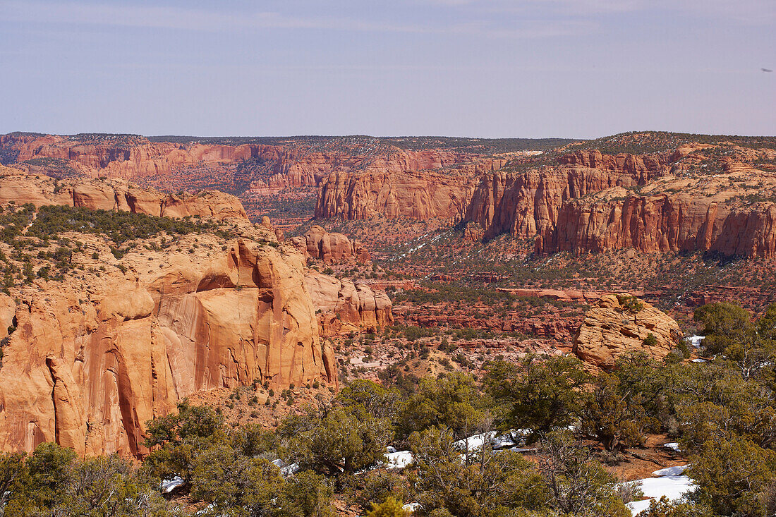 Blick über den Betatakin Canyon, Betatakin Area, Navajo National Monument, Navajo Indian Reservation, Arizona, USA, Amerika