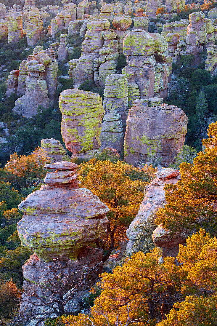 Bonita Canyon Drive, Chiricahua National Monument, Arizona, USA, America