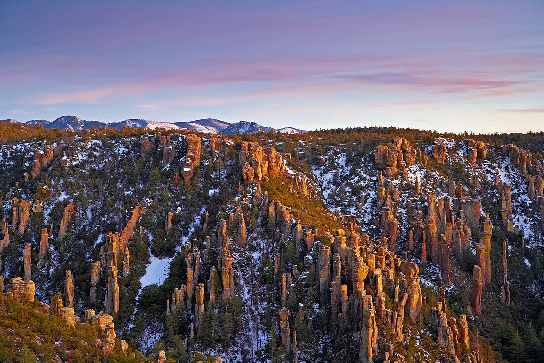 Bonita Canyon Drive am Abend, Chiricahua National Monument, Arizona, USA, Amerika