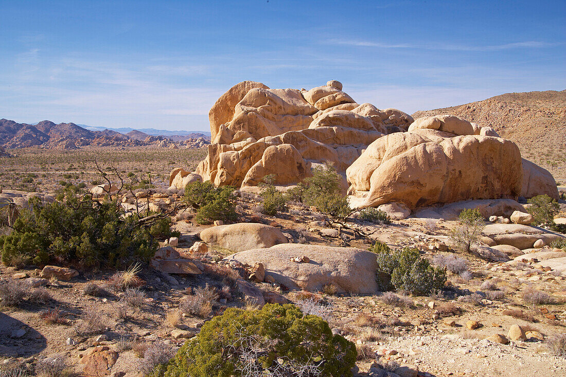 View from Sheep Pass towards southwest, Joshua Tree National Park, Mojave Desert, California, USA, America