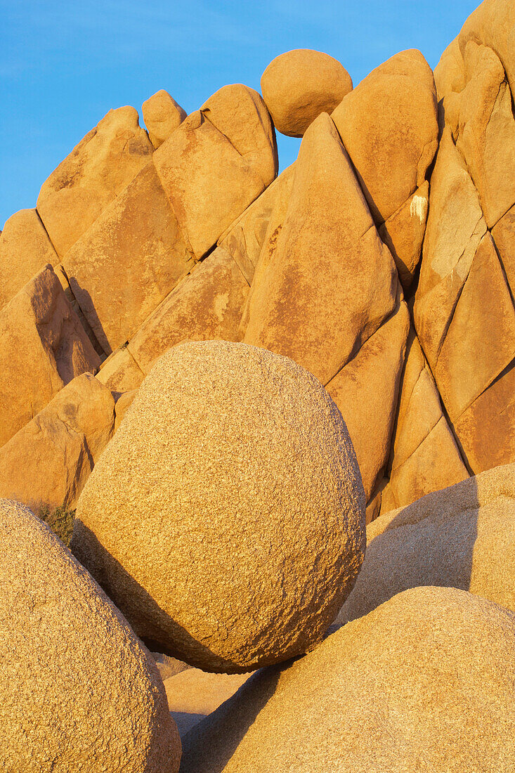 Jumbo Rocks im Joshua Tree National Park im Abendlicht, Mojave Wüste, Kalifornien, USA, Amerika