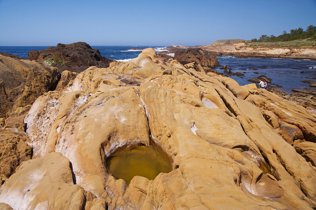 Rocks at the Pacific coast, Point Lobos State Reserve, Highway 1, California, USA, America