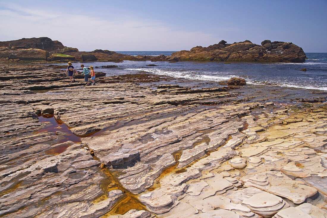 Felsküste im Sonnenlicht, Point Lobos State Reserve, Highway 1, Kalifornien, USA, Amerika