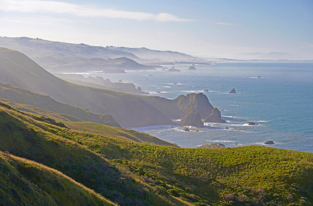 Küstenlandschaft im Sonnenlicht, Sonoma State Beach, Sonoma, Highway 1, Kalifornien, USA, Amerika