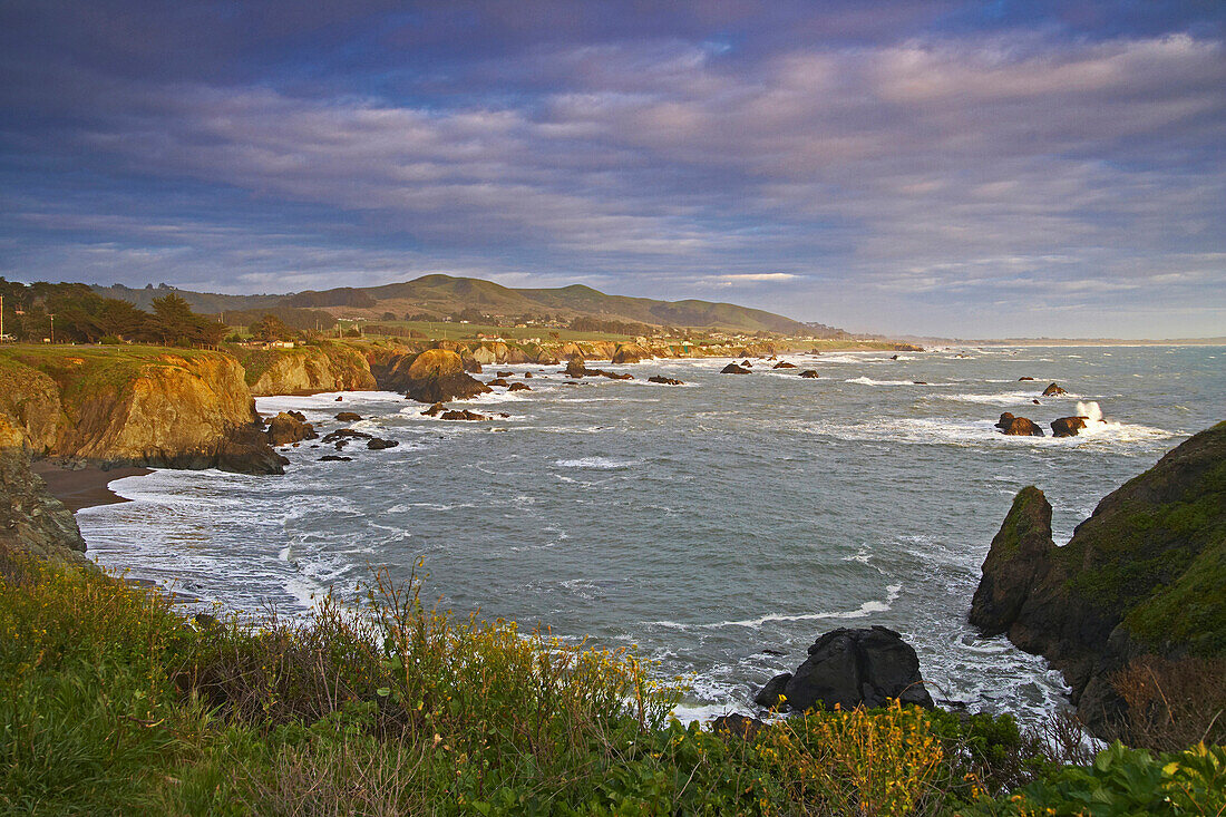 Sonoma's coast near Bodega Bay in the evening light, Sonoma, Highway 1, California, USA, America