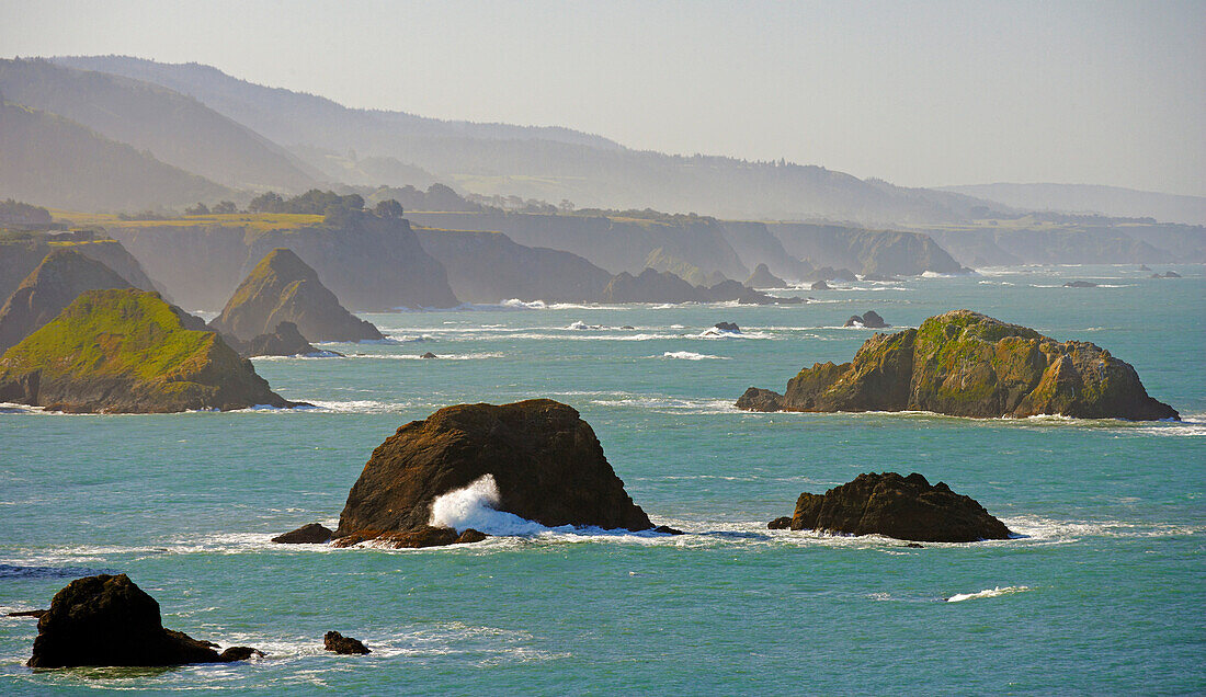 Pacific coast at Navarro Point in the morning, Mendocino, California, USA, America