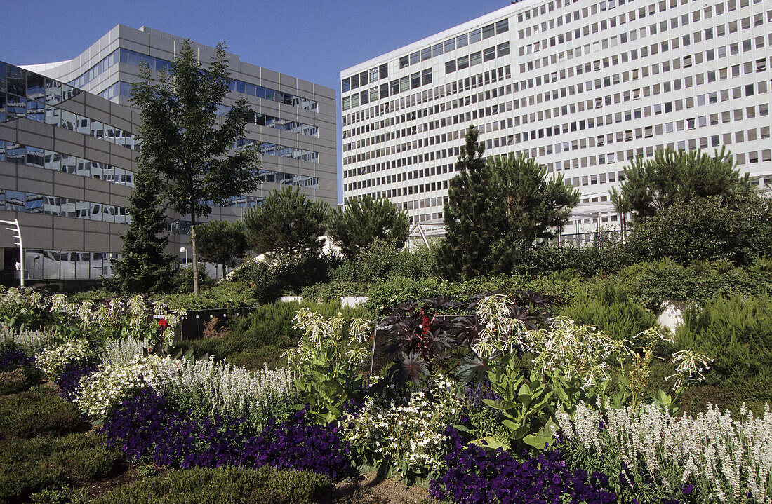 Jardin Atlantique. Montparnasse. Paris. France