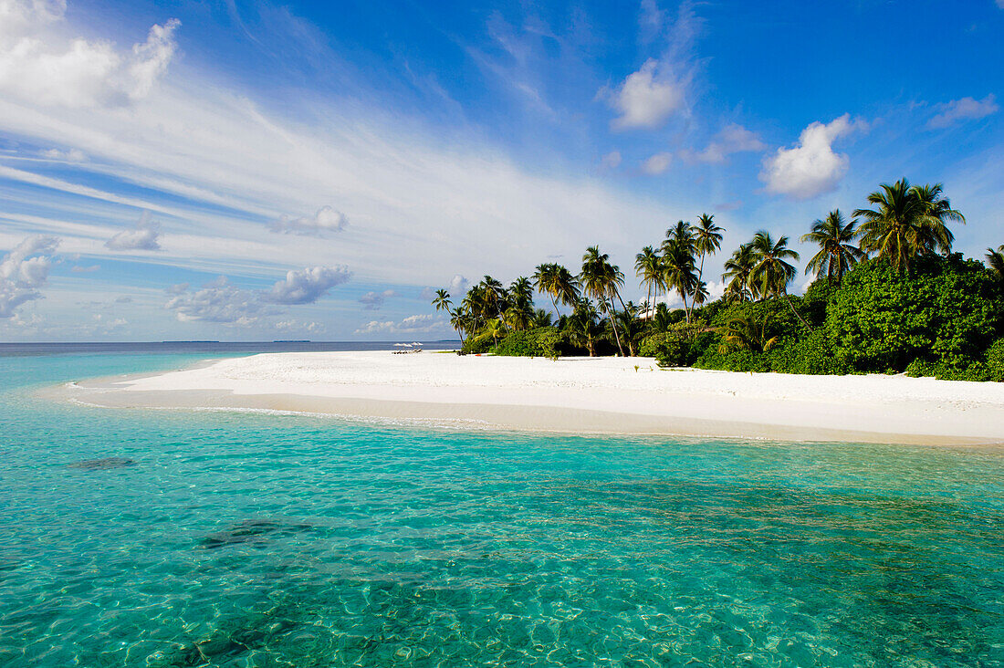 Strand mit Palmen im Sonnenlicht, Park Hyatt Maldives Hadahaa, Gaafu Alifu Atoll, North Huvadhoo Atoll, Malediven