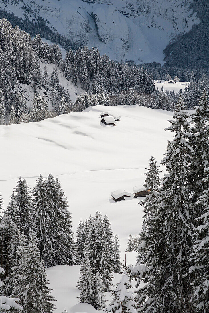 Deep snow at some alpine stables and huts above Grindelwald, Jungfrauregion, Bernese Oberland, Canton Bern, Switzerland, Europe