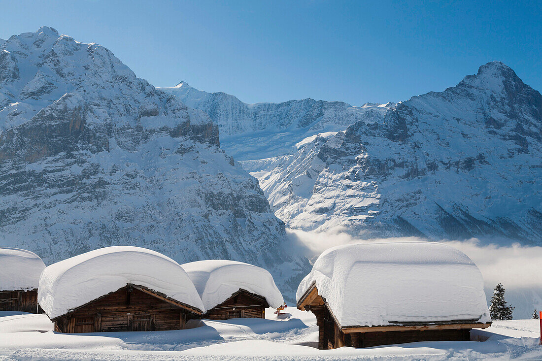 Tief verschneite Alphütten über Grindelwald, Jungfrauregion, Berner Oberland, Kanton Bern, Schweiz, Europa