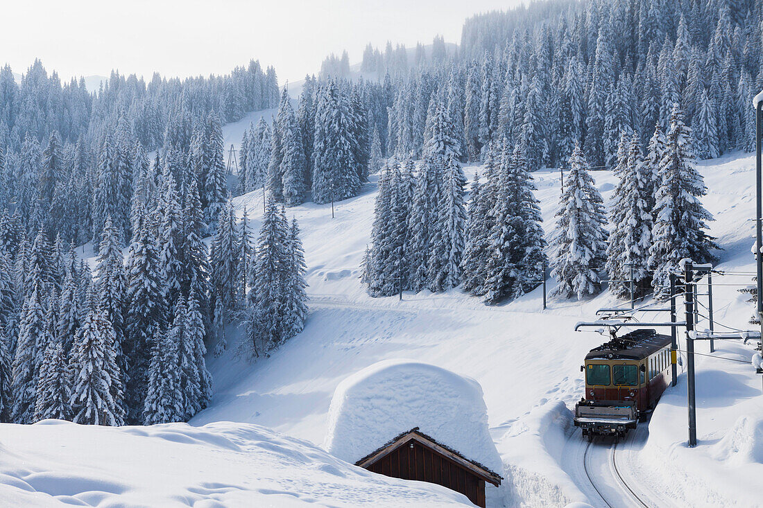 Deep Winter along the railway track Winteregg, Muerren, Lauterbrunnental, Jungfrauregion, Bernese Oberland, Canton Bern, Switzerland, Europe